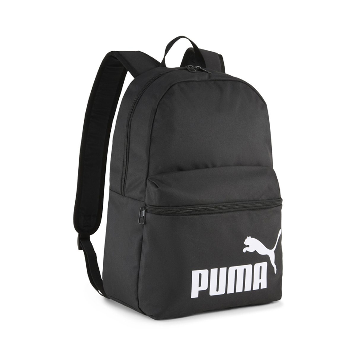RANAC PUMA PHASE