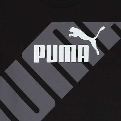 PUMA POWER