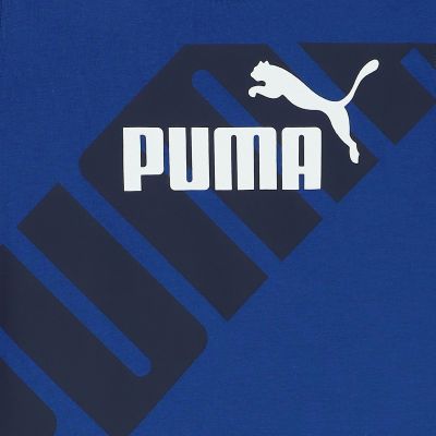 PUMA POWER