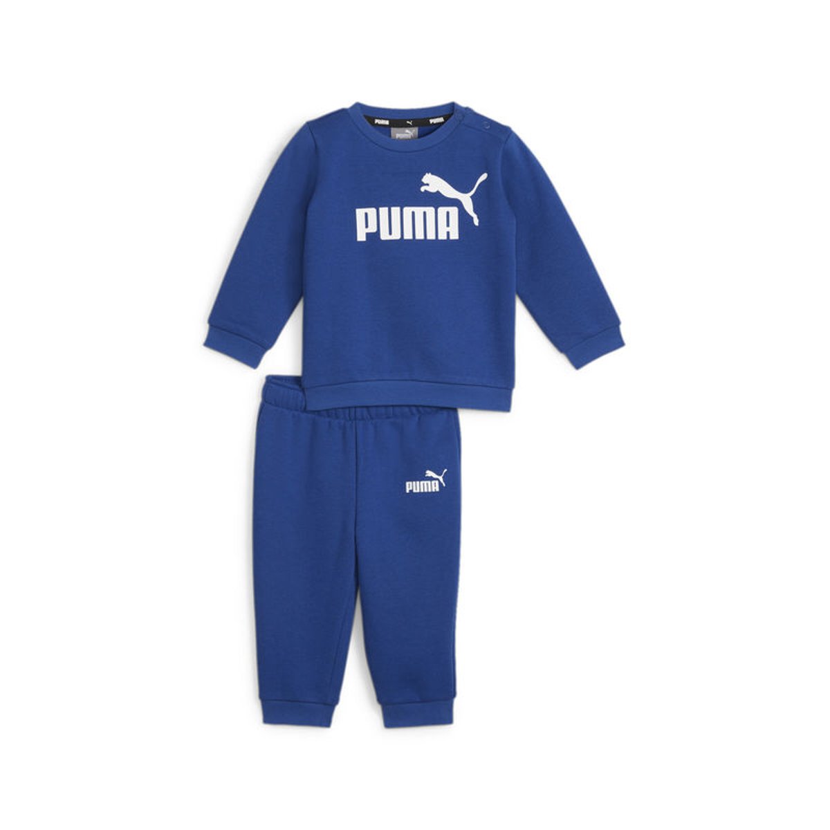 PUMA MINICATS